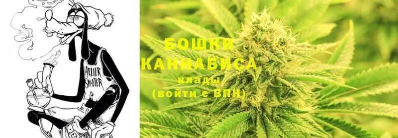 магазин продажи наркотиков  Каспийск  Шишки марихуана Amnesia 